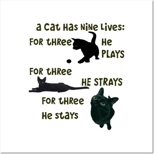 A Cat Has Nine Lives He Plays He Strays He Stays Quote Posters and Art